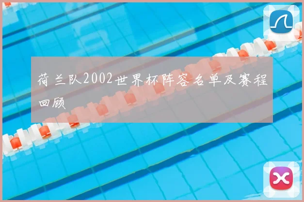 荷兰队2002世界杯阵容名单及赛程回顾