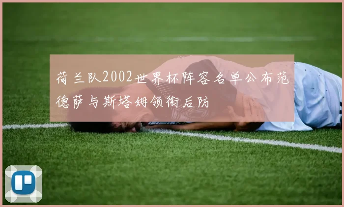 荷兰队2002世界杯阵容名单公布范德萨与斯塔姆领衔后防