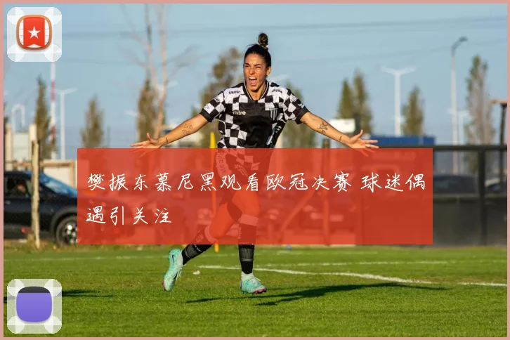 樊振东慕尼黑观看欧冠决赛 球迷偶遇引关注