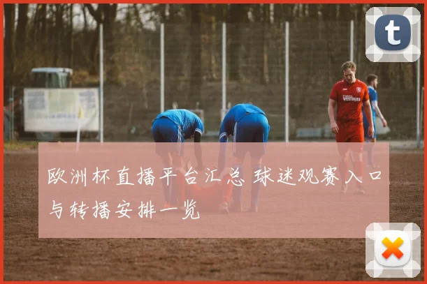 欧洲杯直播平台汇总 球迷观赛入口与转播安排一览