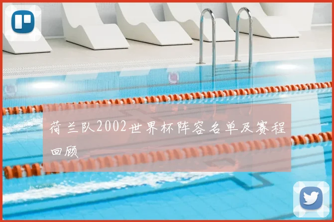 荷兰队2002世界杯阵容名单及赛程回顾