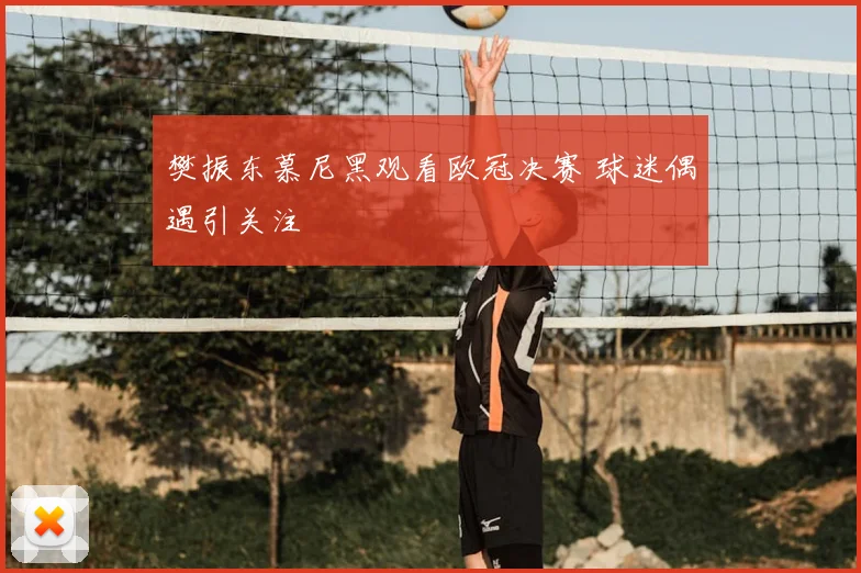 樊振东慕尼黑观看欧冠决赛 球迷偶遇引关注