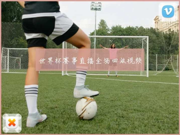 世界杯赛事直播全场回放视频