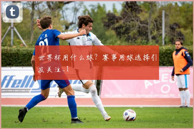 世界杯用什么球?赛事用球选择引发关注_1