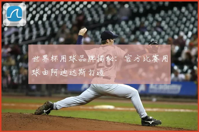 世界杯用球品牌揭秘:官方比赛用球由阿迪达斯打造